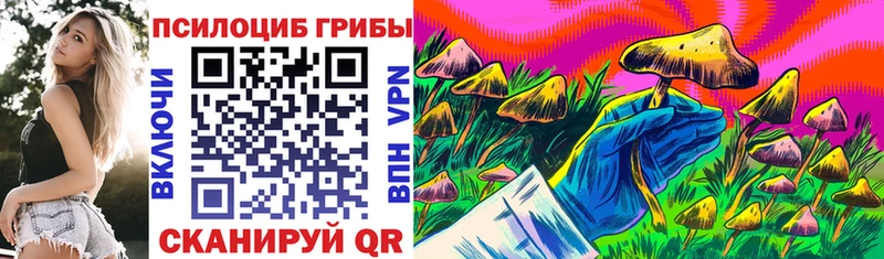 Галлюциногенные грибы Psilocybe  продажа наркотиков  Солигалич 